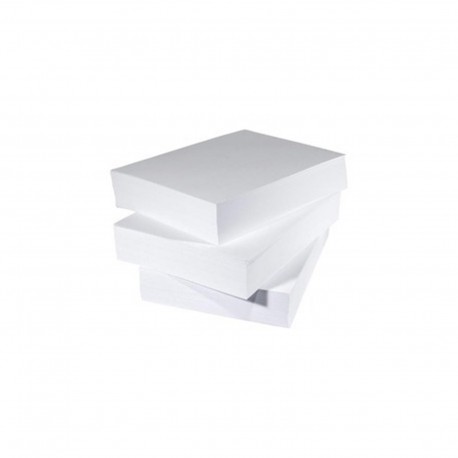 Risma 500 Fogli Carta Formato A4 80 Grammi Bianco