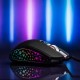 Noua Mouse USB Gaming Neon R