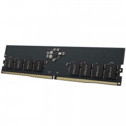PNY Memoria RAM DDR5 16GB DIMM 5600 Mhz VL40 1.1V Bulked (no confezione)